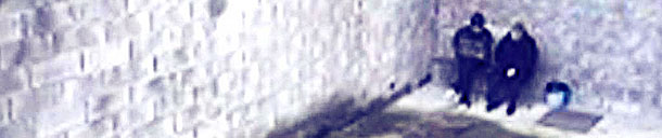 friina