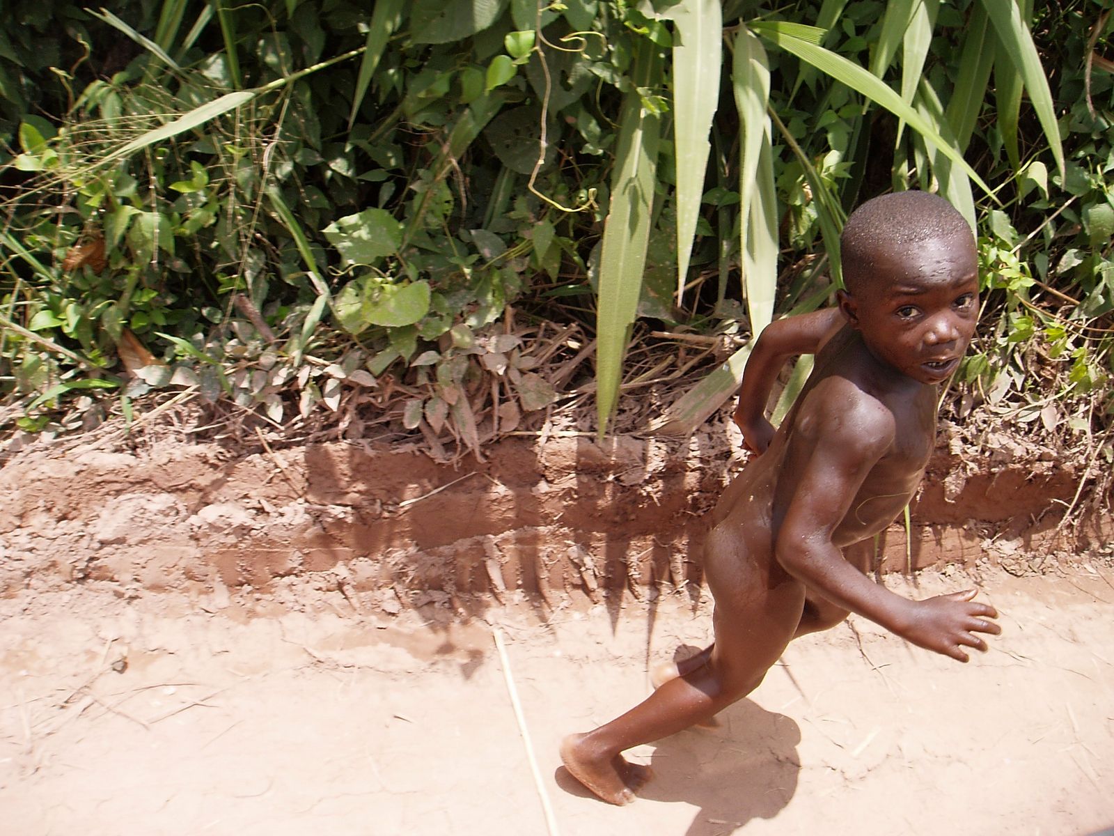 ANGO_foto_4