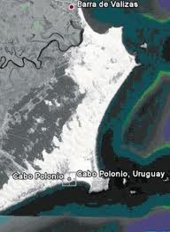 EcologistasyMujicaenpolmicafotoMilitarorgFoto9
