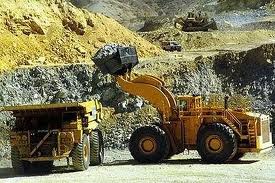 MineraAratirfotoPelusaRadicalFoto3